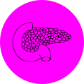 C25 Trzustka