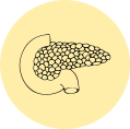 C25 Trzustka