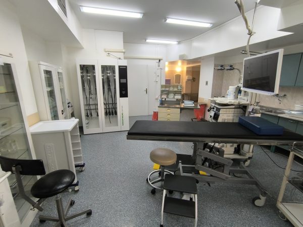Dział Diagnostyki i Terapii Gastroenterologicznej 1