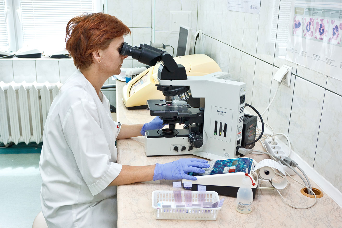 Zakład Diagnostyki Laboratoryjnej Śco Kielce 2781